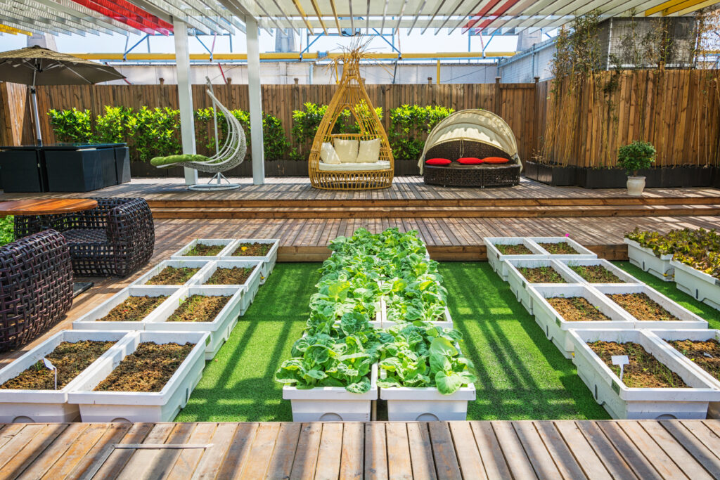 Indoor & Outdoor Activities at DL Clubs